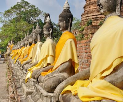 Рязанцы приглашаются на выставку «ТАТУ»